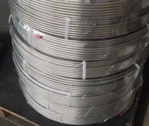 High Quality for China ASTM A269 / ASTM A213 Cold Rolledsmall Diameter Marine Multi Core Coiled Steel Tubing