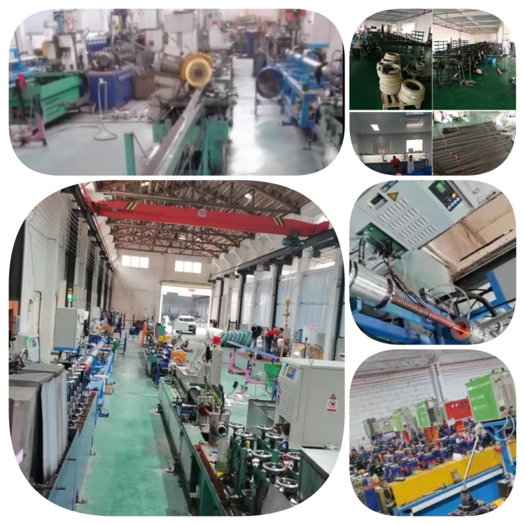 site_fecdf136-dfdc-4508-a306-a2fd19b657a3