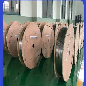 TP 304 Capillary Tubing 2.8*0.5 mm in Coiled