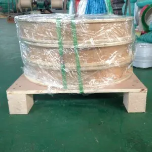 Short Lead Time for Stainless Steel Capillary Coil/Coiled Tubes (tubings, Pipes) Saler